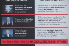 2020-election-usps-campaign-ad-04-back